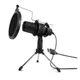 Micrófono Condensador Profesional HyperGear Sound Advantage Pro Audio